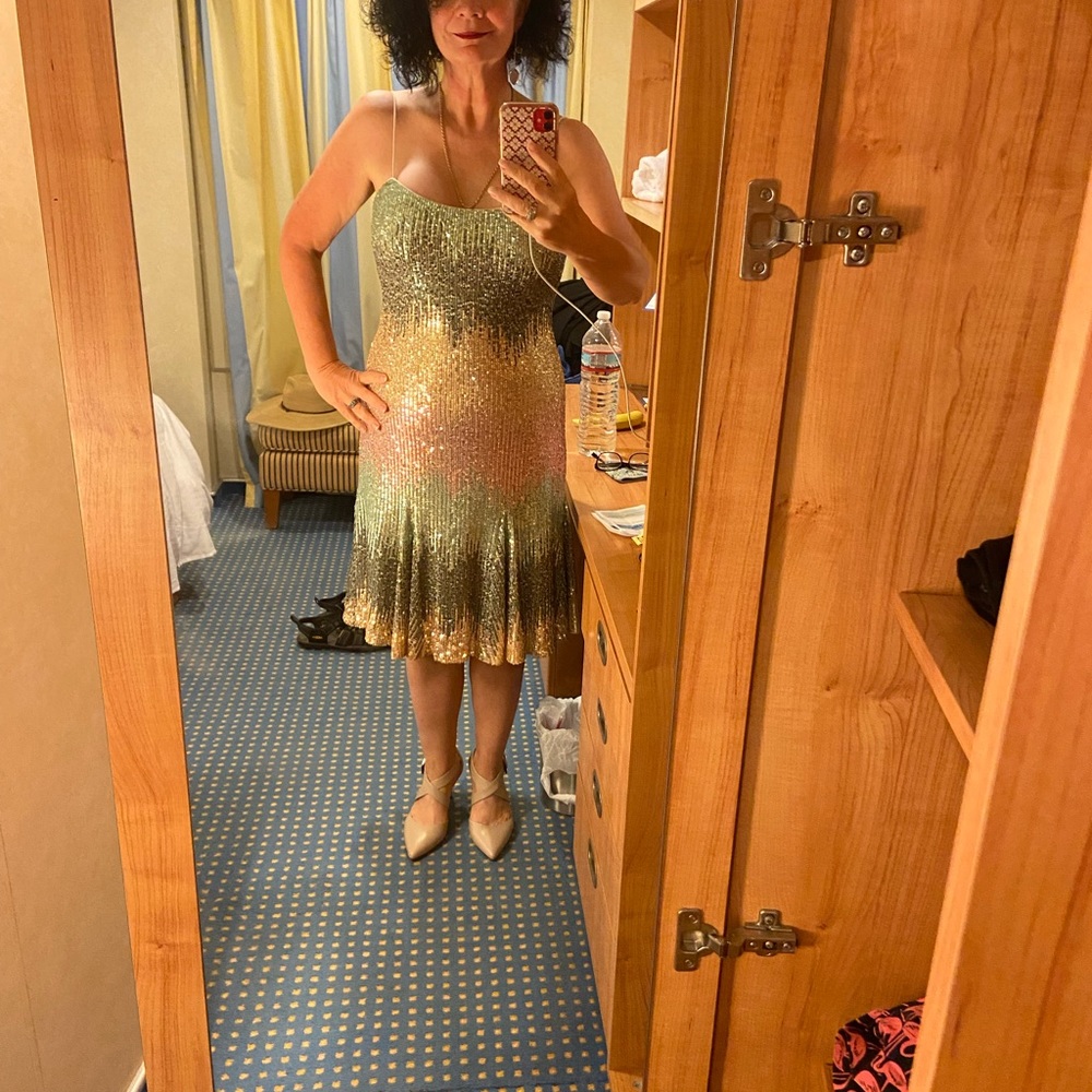 Sequin Dress sz 10 - Picture 4 of 4